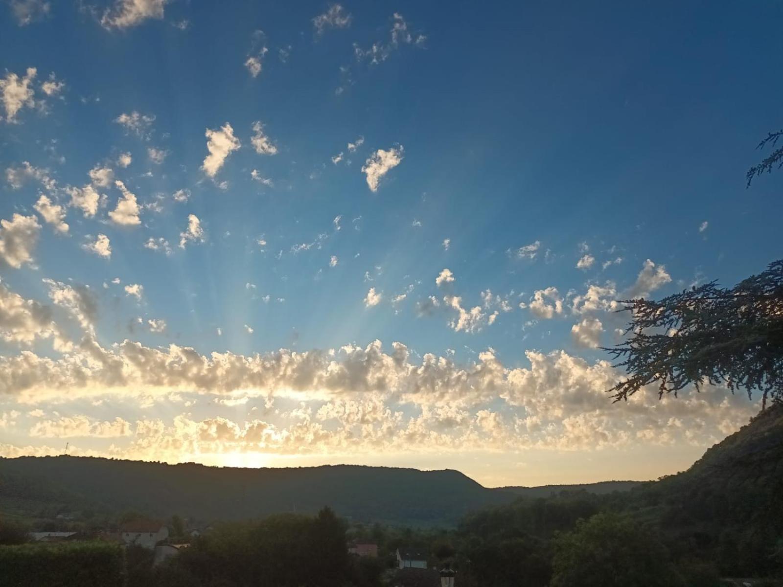 Longue Vue En Arbois Bed & Breakfast Eksteriør bilde
